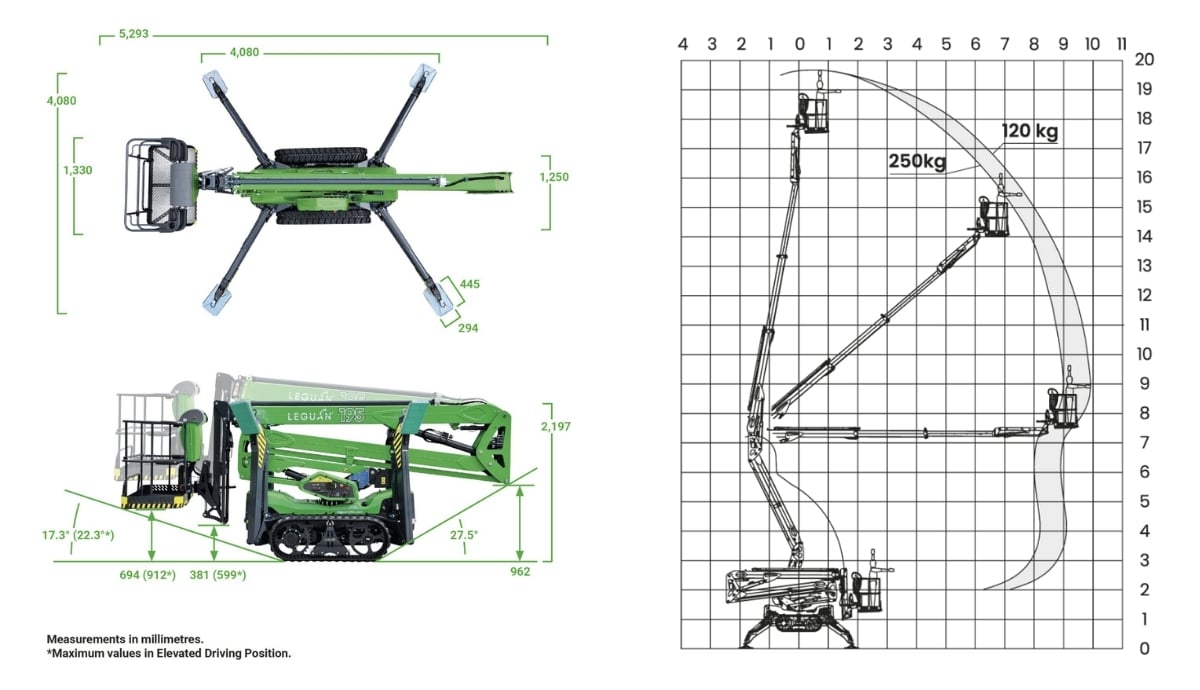 Leguan 195 dimensions