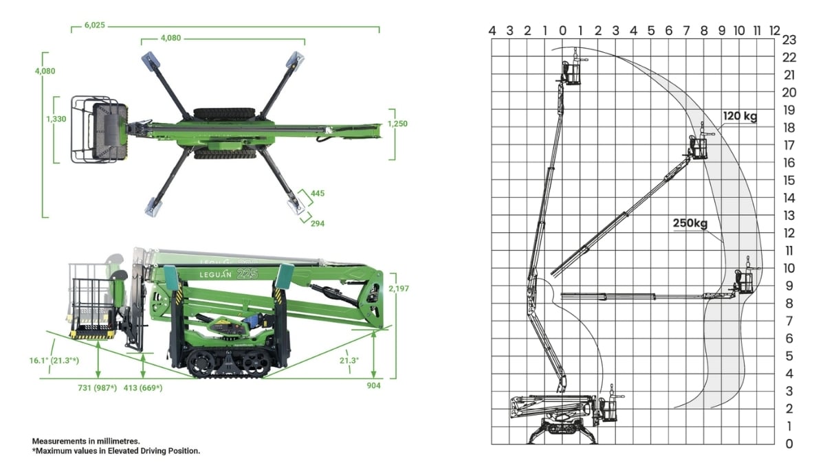 Leguan 225 dimensions