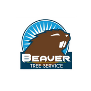 Beaver tree service