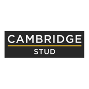 Cambridge Stud