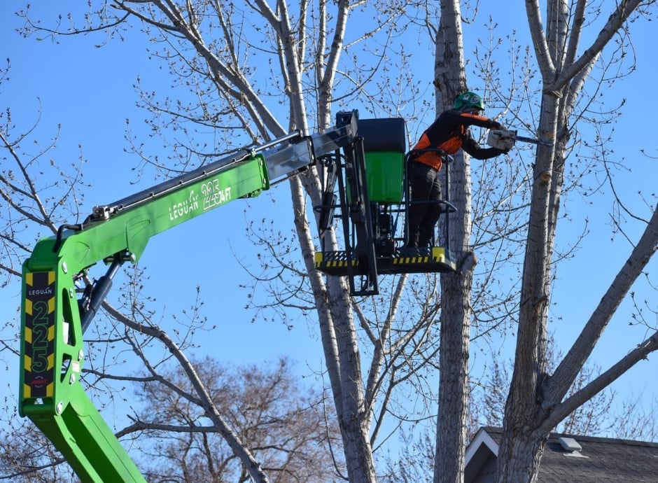 Leguan lifts for tree work
