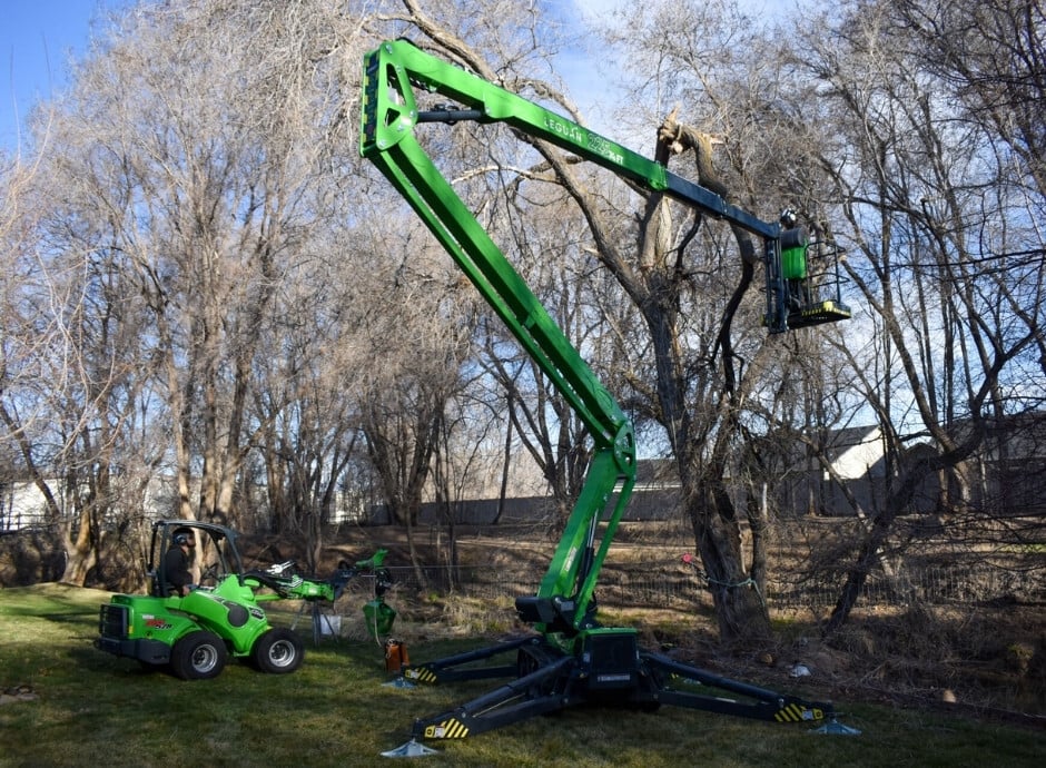 Leguan lifts New Zealand