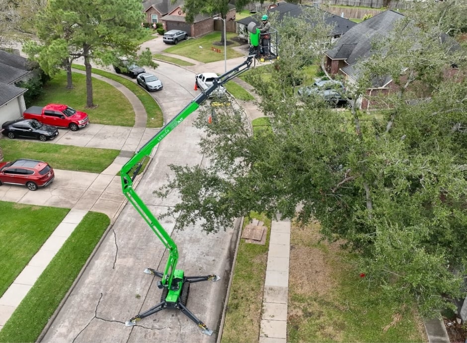 Leguan lifts New Zealand