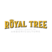 Royal Tree