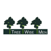 Tree Wise Men